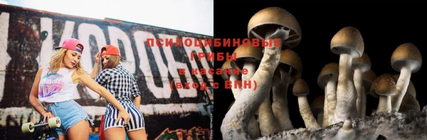 прущие крисы Белокуриха