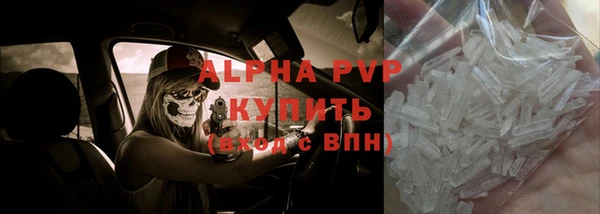 прущие крисы Белокуриха