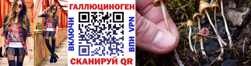 Псилоцибиновые грибы Magic Shrooms  как найти наркотики  Очёр 