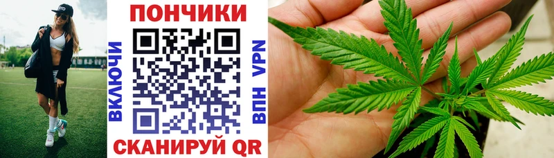 kraken как войти  Очёр  Бошки Шишки сатива 